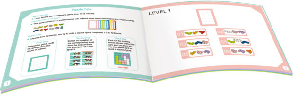 Kubuspuzzel 10 Levels Educatief Houten Denkspel 23-delig